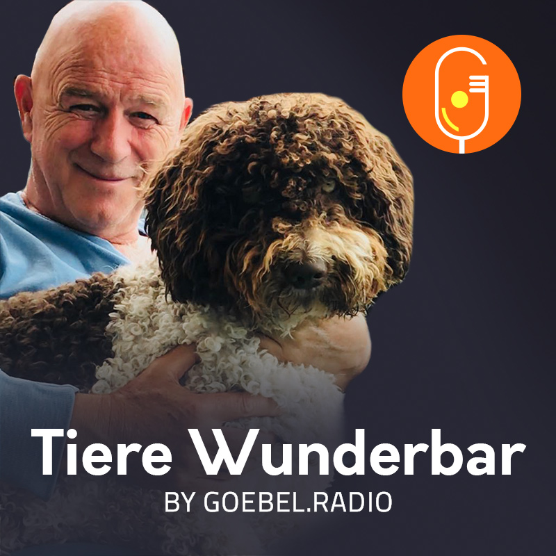 Ein Hund kommt ins Haus Goebel.Radio